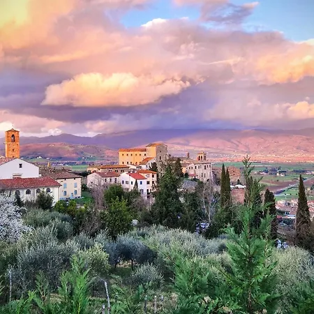 Tinaia Anghiari