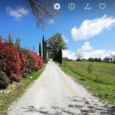 Holiday home Tinaia Anghiari